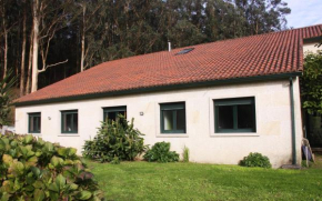 Os laguiños